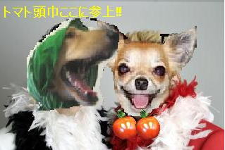 gokon0228_4.jpg