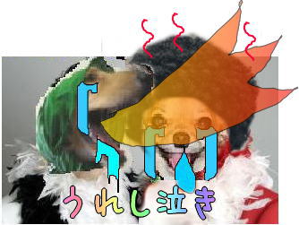 gokon0302_4.jpg