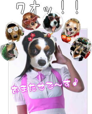 gokon1013_2.jpg